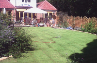 New lawn in Croydon